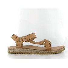 TEVA 1010321<br>Camel