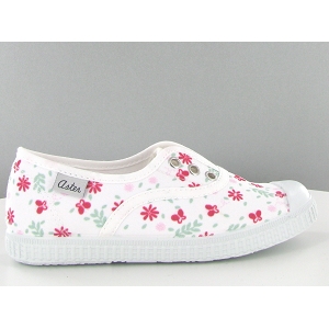 Aster derby miley blancC084501_1