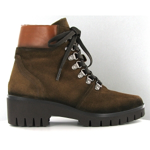 Dorking bottines et boots azor d8074 marronE055001_1