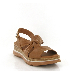 PAULA URBAN 24 571<br>Camel