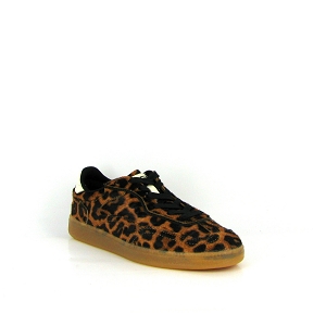 HOFF ALLEY LEOPARD Leopard