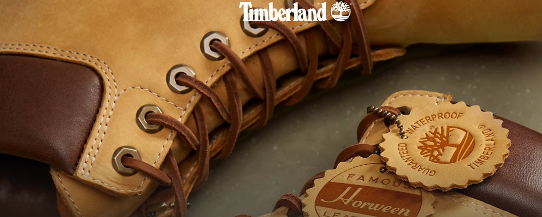 Chaussures Timberland