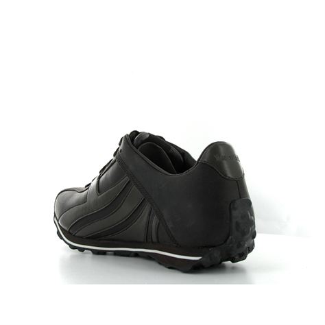 timberland fells trainer low