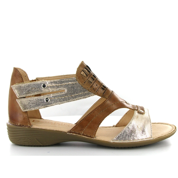 Dorking oda 6769 marron