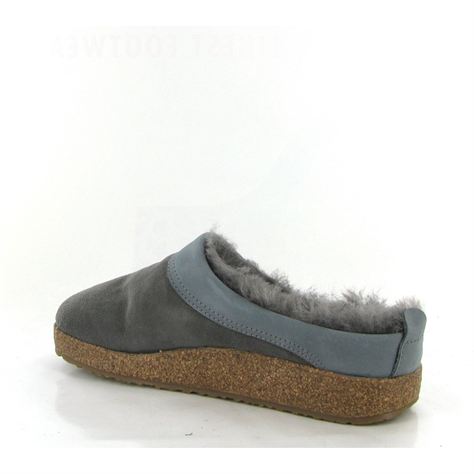 Haflinger mules snowbird grisA265801_3