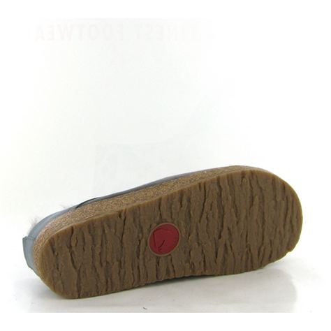 Haflinger mules snowbird grisA265801_4