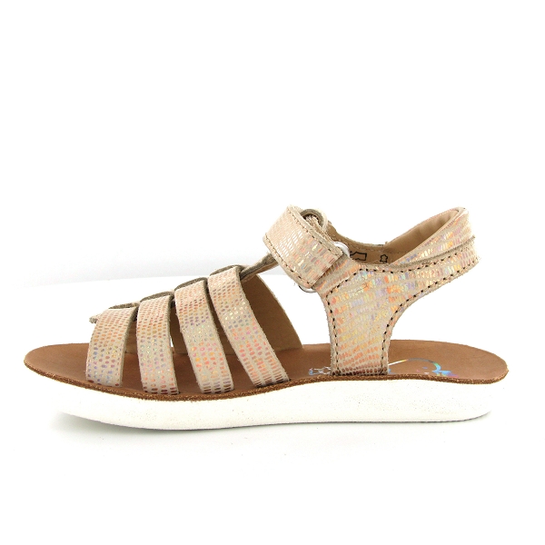 nu pied shoo pom