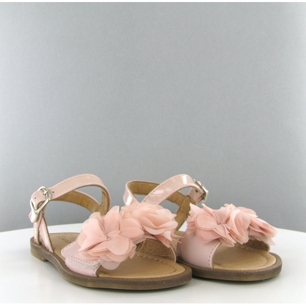 Romagnoli nu pied 3769 roseC121301_1