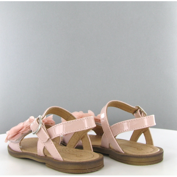 Romagnoli nu pied 3769 roseC121301_2