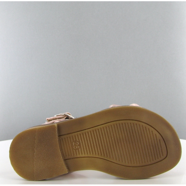 Romagnoli nu pied 3769 roseC121301_3