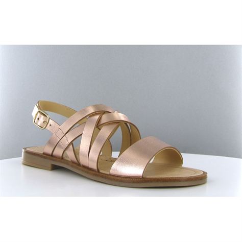 Romagnoli nu pied 3903 roseC121602_2