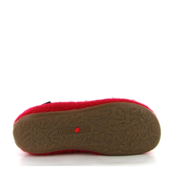 Haflinger fermee everest charly rougeC264201_4