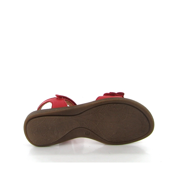 Froddo nu pied lore flowers g3150181 rougeE151801_4