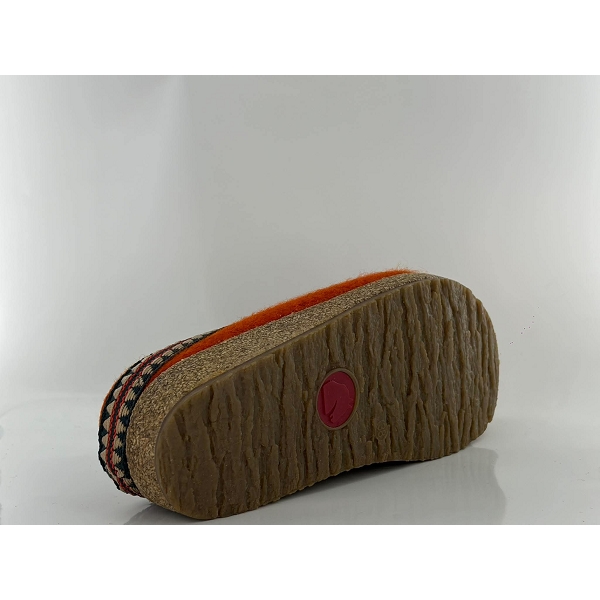 Haflinger mules lucky grizzly orangeW140401_4