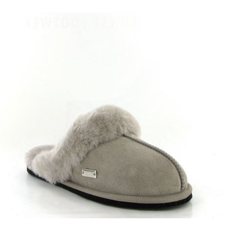 Haflinger mules north star grisZ026601_1