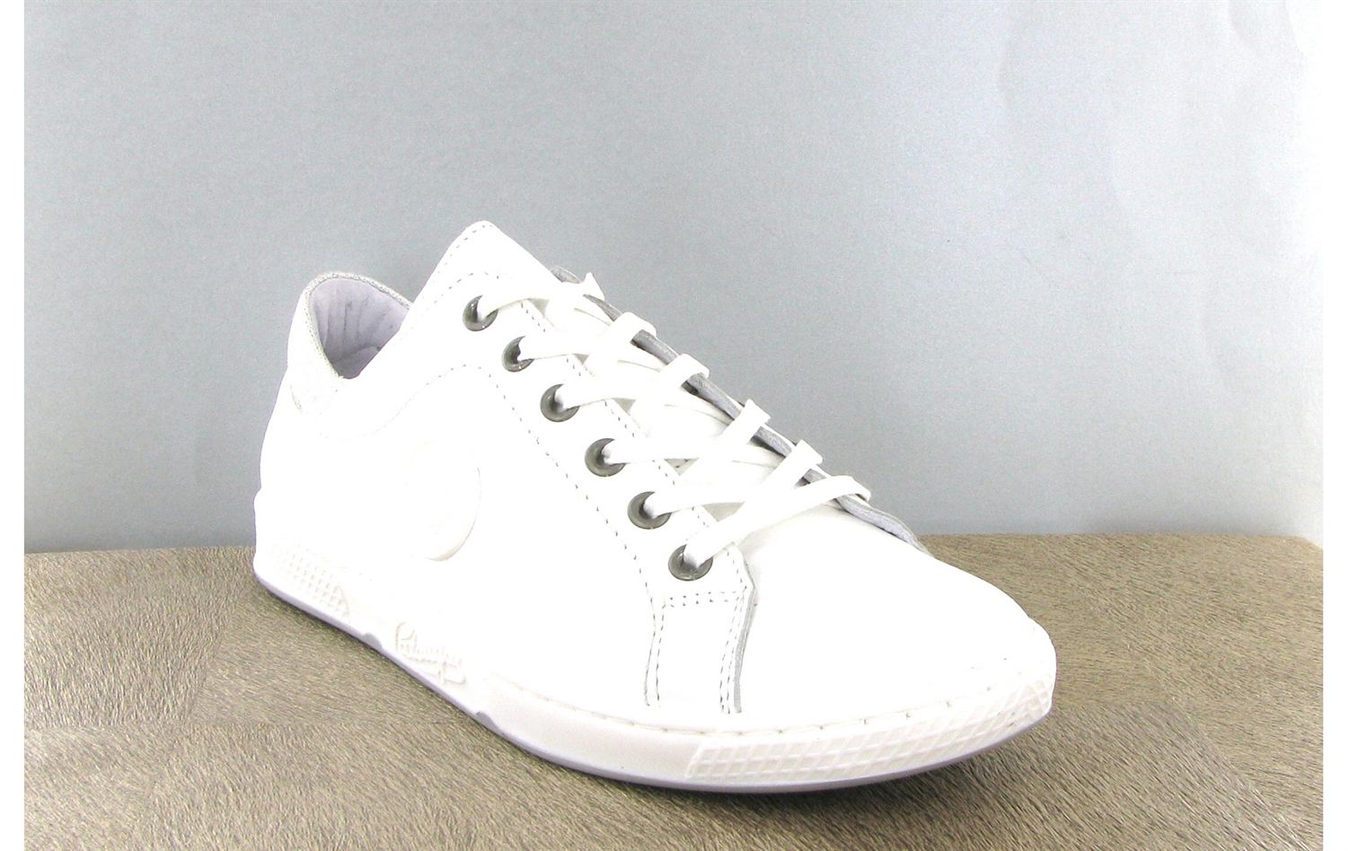 pataugas jayo blanche