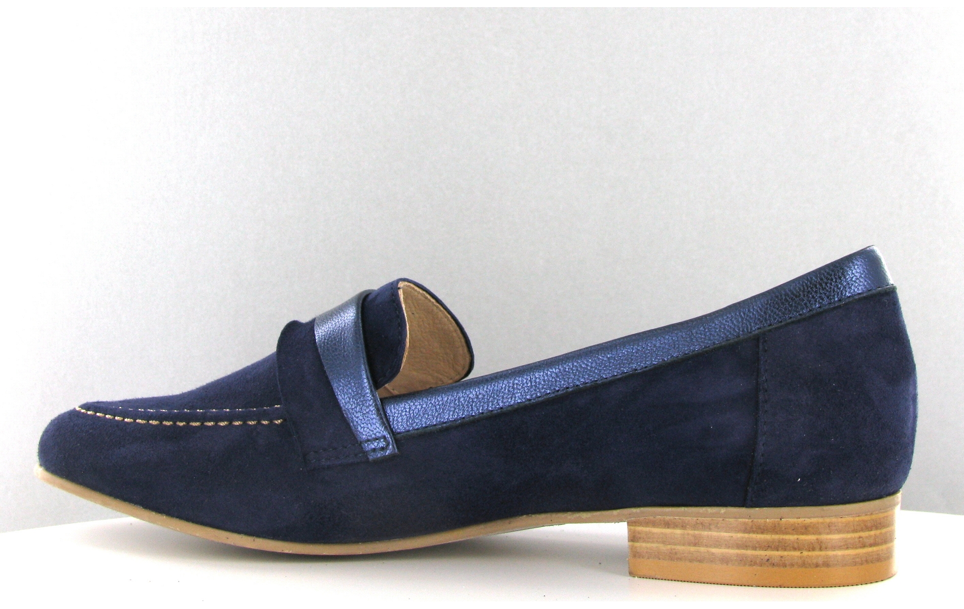 pinto di blu avis